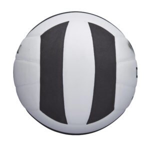 Pro Tour Indoor Volleyball, Black/White
