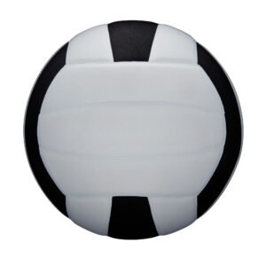 Pro Tour Indoor Volleyball, Black/White