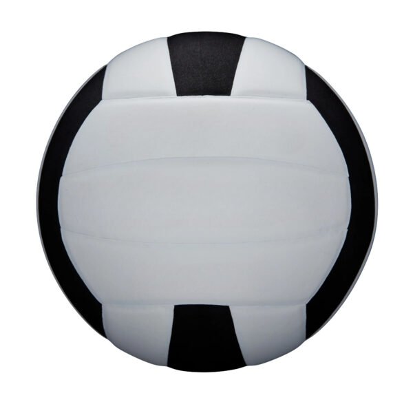 Pro Tour Indoor Volleyball, Black/White